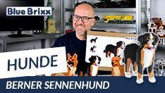 YouTube: Berner Sennenhund aus Diamond Blocks - BlueBrixx Pro @ BlueBrixx