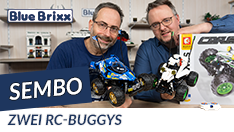 YouTube: Zwei RC Buggys von Sembo @BlueBrixx