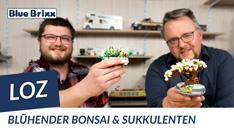 YouTube: Blühender Bonsai & Sukkulenten von LOZ (mini blocks)