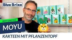 YouTube: Brixx ganz fixx: Pflanzen & Kakteen in einem Dekotopf mit Tiermotiven von MoYu aus diamond blocks