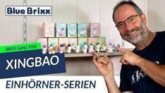 YouTube: Brixx ganz fix: Einhörner Serien 1 & 2 von Xingbao