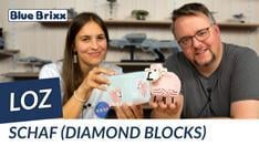 Schaf (diamond blocks) von LOZ   @BlueBrixx Group  - Tamaras erstes Video im Studio