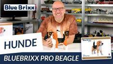 Youtube: Beagle aus Diamond Blocks von BlueBrixx - unser erstes BlueBrixx Pro-Modell!
