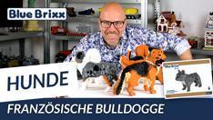 YouTube: Französische Bulldogge aus Diamond Blocks - BlueBrixx Pro @ BlueBrixx