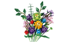 plants