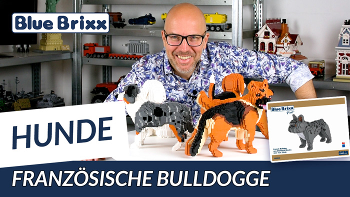 Französische Bulldogge aus Diamond Blocks - BlueBrixx Pro