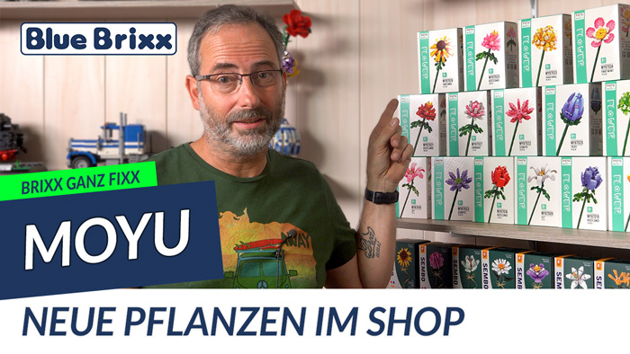 Brixx ganz: Blumen von MoYu