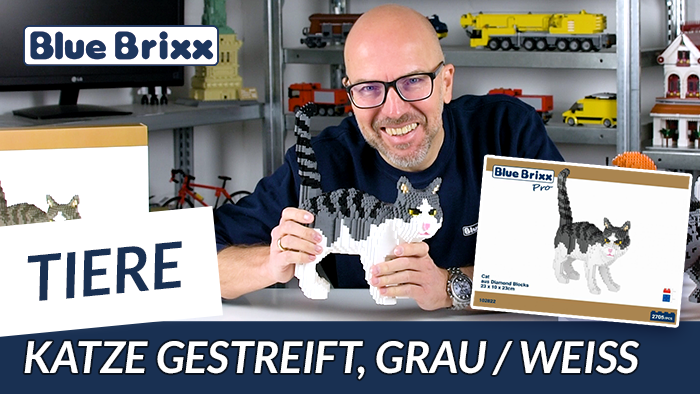 Youtube: Grau-weiß gestreifte Katze von BlueBrixx Pro @ BlueBrixx - mit Auflösung der Umfrage!