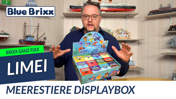 Brixx ganz fix: 12 Meerestiere in einer Displaybox von LiMei