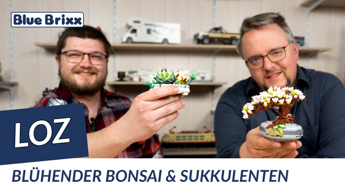 LOZ-Blühender-Bonsai-&-Sukkulenten