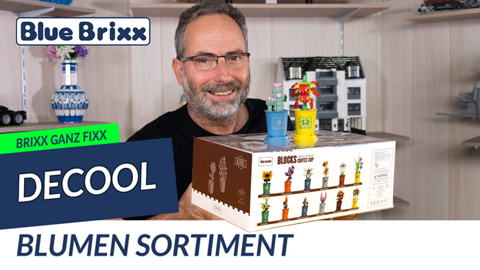 Brixx ganz fixx: DeCool Blumen-Box mit 12 verschiedenen Pflanzen