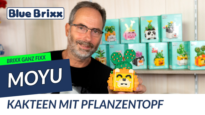 Brixx ganz fixx: Pflanzen & Kakteen in einem Dekotopf mit Tiermotiven von MoYu aus diamond blocks