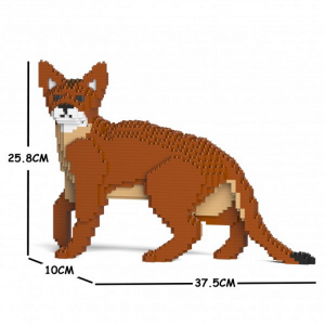 Abyssinian Cat 01S