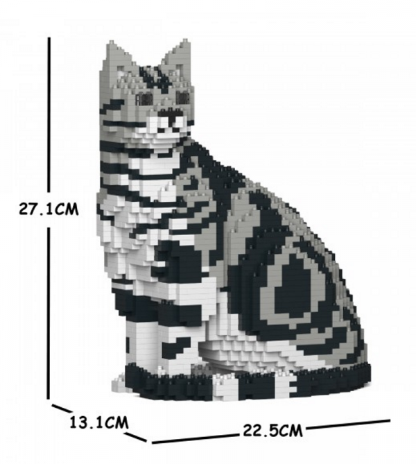 Amerikanische Kurzhaarkatze sitzend