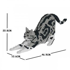 American Shorthair Cat streching