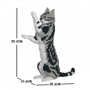 American Shorthair Cat standing