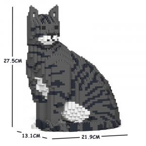 Cat  grey + sitting
