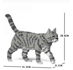 Cat  walking + grey/white