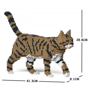 Cat  walking + brown/black/white