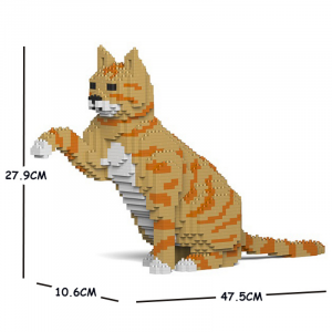 Katze gibt Pfötchen + rötlich