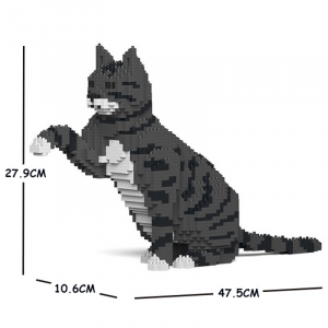 Cat  gives paws + grey