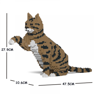 Cat gives paws + brown/black/white