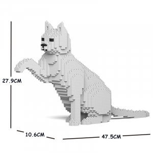 Cat  white + gives paws
