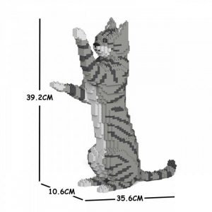 Cat standing + light grey