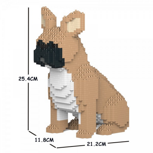 Französische Bulldogge hellbraun + sitzend