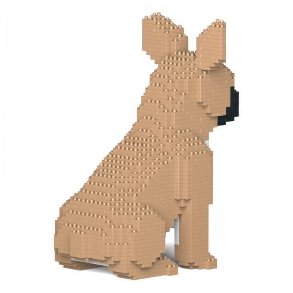 French Bulldog light brown + sitting