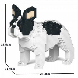 Französische Bulldogge schwarz + weiß