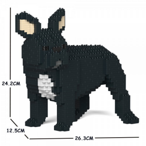 Französische Bulldogge  schwarz
