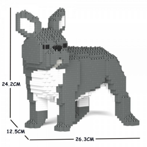 Französische Bulldogge grau