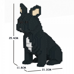 Französische Bulldogge  schwarz + sitzend
