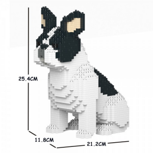 Französische Bulldogge schwarz/weiß + sitzend