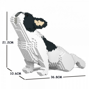 Französische Bulldogge  schwarz/weiß + streckend