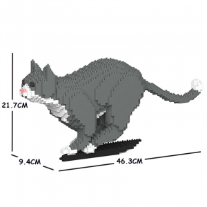 Grau/weiße Katze 