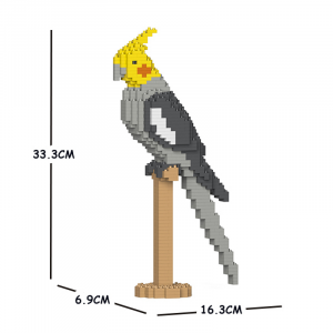 Cockatiel 