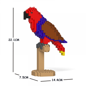 Eclectus 01S