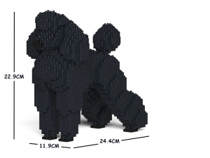 Standard Poodle  black