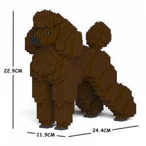 Standard Poodle brown