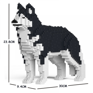 Husky black-white