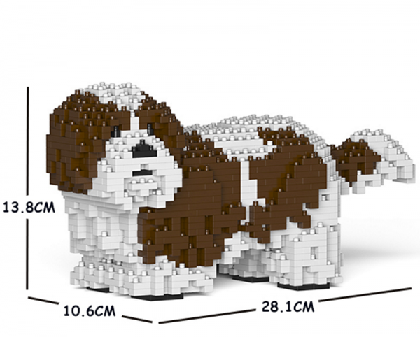 Shih Tzu weiß-braun