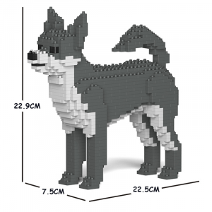 Chihuahua weiß-grau