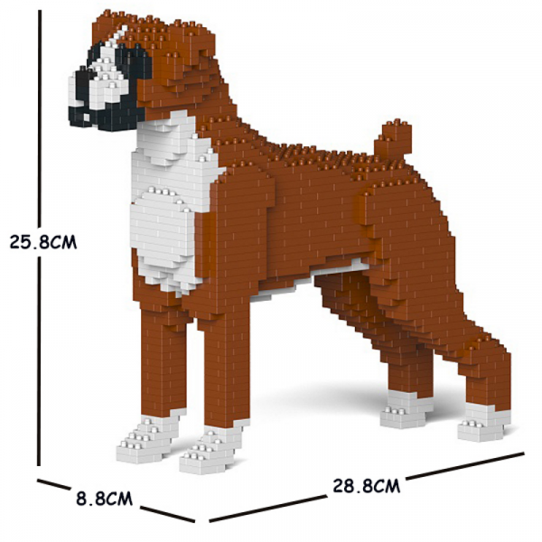 Boxer rötlich-weiß