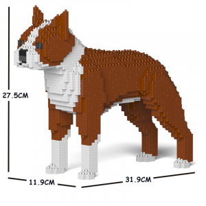 Boston Terrier