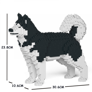 Alaskan Malamute black-white