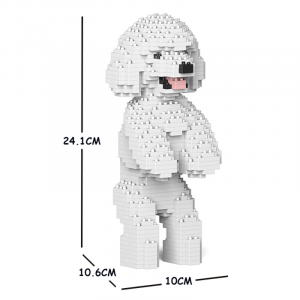 Toy Poodle standing + white