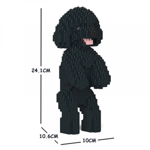 Toy Poodle standing + black