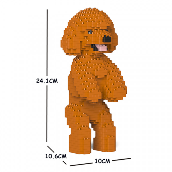 Toy Poodle standing + orange